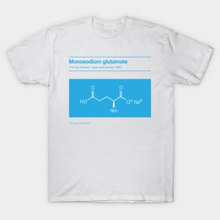 MSG Monosodium glutamate T-Shirt